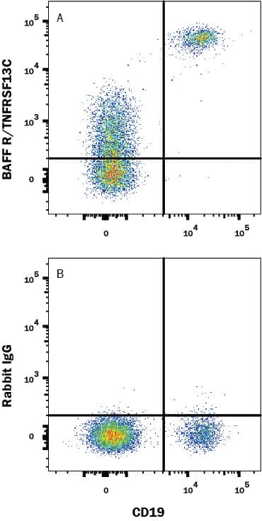 Flow Cytometry BAFFR/TNFRSF13C Antibody (2403C) [Unconjugated]