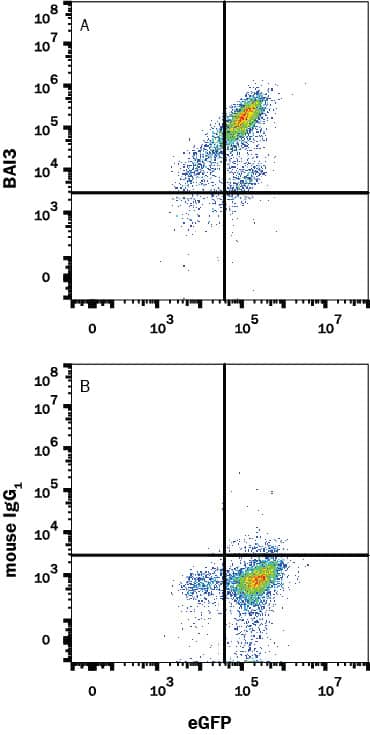 Flow Cytometry BAI3 Antibody (409633) [Unconjugated]