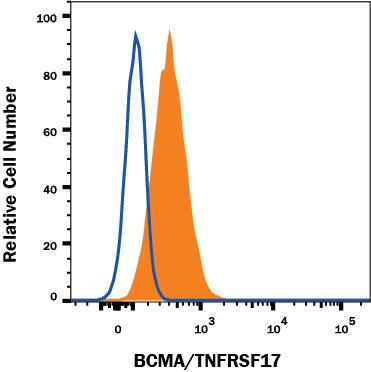 RPMI8226 human myeloma cell line was stained with Mouse Anti-Human BCMA/TNFRSF17 Monoclonal Antibody (Catalog # MAB1932, filled histogram) or isotype control antibody (Catalog # MAB002, open histogram), followed by Phycoerythrin-conjugated Anti-Mouse IgG Secondary Antibody (Catalog # F0102B). View our protocol for Staining Membrane-associated Proteins.