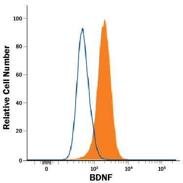 U-87 MG human glioblastoma/astrocytoma cell line was stained with Mouse Anti-Human BDNF Monoclonal Antibody (Catalog # MAB2481, filled histogram) or isotype control antibody (Catalog # MAB002, open histogram). To facilitate intracellular staining, cells were fixed and permeabilized with FlowX FoxP3 Fixation & Permeabilization Buffer Kit (Catalog # FC012). View our protocol for Staining Intracellular Molecules.