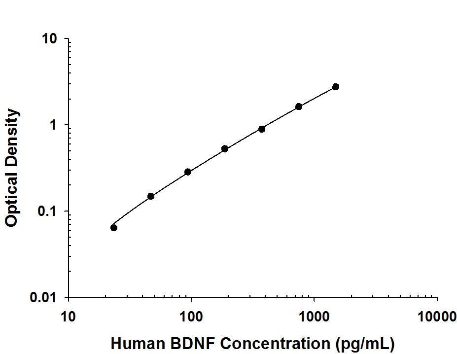 Recombinant Human BDNF protein was serially diluted 2-fold and captured by Mouse Anti-Human BDNF Monoclonal Antibody (Catalog # MAB848R) coated on a Clear Polystyrene Microplate (Catalog # DY990). Mouse Anti-Human BDNF Monoclonal Antibody (Catalog # MAB648) was biotinylated and incubated with the protein captured on the plate. Detection of the standard curve was achieved by incubating Streptavidin-HRP (Catalog # DY998) followed by Substrate Solution (Catalog # DY999) and stopping the enzymatic reaction with Stop Solution (Catalog # DY994).
