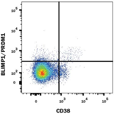 Human peripheral blood mononuclear cells (PBMCs) gated on CD19+CD3-cells were stained with Mouse Anti-Human BLIMP1/PRDM1 Alexa Fluor® 488-conjugated Monoclonal Antibody (Catalog # IC36081G) and Mouse Anti-Human CD38 PerCP-conjugated Monoclonal Antibody (FAB2404C). Quadrant markers were set based on control antibody staining (IC002G). To facilitate intracellular staining, cells were fixed and permeabilized with FlowX FoxP3 Fixation & Permeabilization Buffer Kit (FC012). View our protocol for Staining Intracellular Molecules.