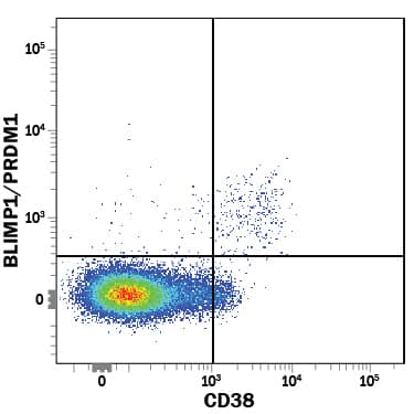 Human peripheral blood mononuclear cells (PBMCs) gated on CD19+CD3-cells were stained with Mouse Anti-Human BLIMP1/PRDM1 PE-conjugated Monoclonal Antibody (Catalog # IC36081P) and Mouse Anti-Human CD38 PerCP-conjugated Monoclonal Antibody (Catalog # FAB2404C). To facilitate intracellular staining, cells were fixed with Flow Cytometry Fixation Buffer (Catalog # FC004) and permeabilized with Flow Cytometry Permeabilization/Wash Buffer I (Catalog # FC005). View our protocol for Staining Intracellular Molecules.