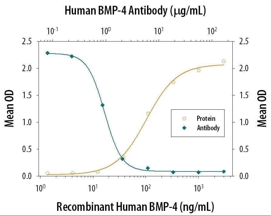 Neutralization BMP-4 Antibody (66119) [Unconjugated]