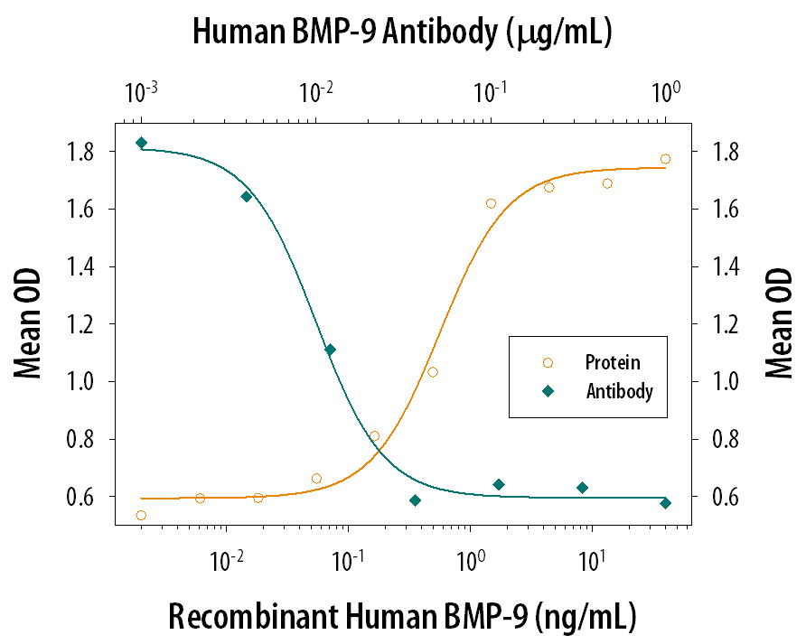 Neutralization BMP-9 Antibody (360107) [Unconjugated]