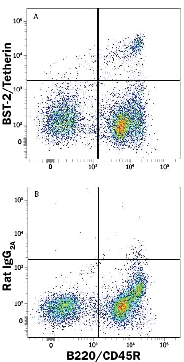 Mouse bone marrow cells were stained with Rat Anti-Mouse B220/CD45R APC-conjugated Monoclonal Antibody (Catalog # FAB1217A) and either (A) Rat Anti-Mouse BST-2/Tetherin Monoclonal Antibody (Catalog # MAB8660) or (B) Rat IgG2AIsotype Control (Catalog # MAB006) followed by Phycoerythrin-conjugated Anti-Rat IgG Secondary Antibody (Catalog # F0105B).