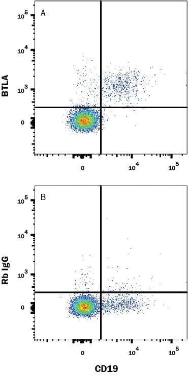 Human PBMC were stained with (A) Rabbit Anti-Human BTLA Monoclonal Antibody (Catalog # MAB33542) or (B) Rabbit IgG control antibody (Catalog # MAB1050) followed by PE-conjugated Anti-Rabbit IgG Secondary Antibody (Catalog # F0110) and Mouse anti-Human CD19 APC-conjugated Monoclonal Antibody (Catalog # FAB4867A). View our protocol for Staining Membrane-associated Proteins.