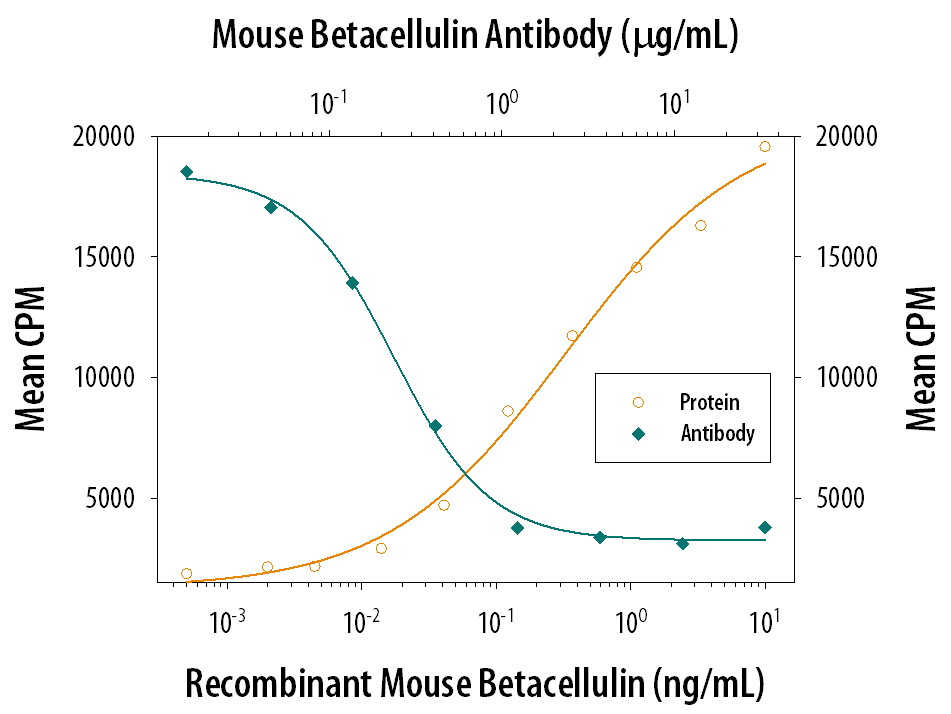 Recombinant Mouse Betacellulin/BTC (Catalog # 1025-CE) stimulates proliferation in the Balb/3T3 mouse embryonic fibroblast cell line in a dose-dependent manner (orange line). Proliferation elicited by Recombinant Mouse Betacellulin/BTC (2 ng/mL) is neutralized (green line) by increasing concentrations of Goat Anti-Mouse Betacellulin/ BTC Antigen Affinity-purified Polyclonal Antibody (Catalog # AF1025). The ND50 is typically 0.1-0.4 µg/mL.