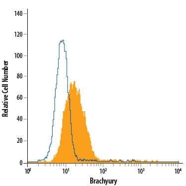 D3 mouse embryonic stem cell line differentiated with mouse serum for 4 days was stained with Goat Anti-Human/Mouse Brachyury PE-conjugated Antigen Affinity-purified Polyclonal Antibody (Catalog # IC2085P, filled histogram) or isotype control antibody (IC108P, open histogram). To facilitate intracellular staining, cells were fixed with Flow Cytometry Fixation Buffer (FC004) and permeabilized with Flow Cytometry Permeabilization/Wash Buffer I (FC005). View our protocol for Staining Intracellular Molecules.