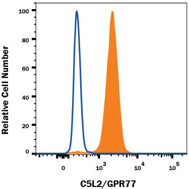 RAW 264.7 mouse monocyte/macrophage cell line was stained with Rat Anti-Mouse C5L2/GPR77 Monoclonal Antibody (Catalog # MAB4729, filled histogram) or isotype control antibody (Catalog # MAB0061, open histogram), followed by Phycoerythrin-conjugated Anti-Rat IgG Secondary Antibody (Catalog # F0105B). To facilitate intracellular staining, cells were fixed with Flow Cytometry Fixation Buffer (Catalog # FC004) and permeabilized with Flow Cytometry Permeabilization/Wash Buffer I (Catalog # FC005). View our protocol for Staining Intracellular Molecules.