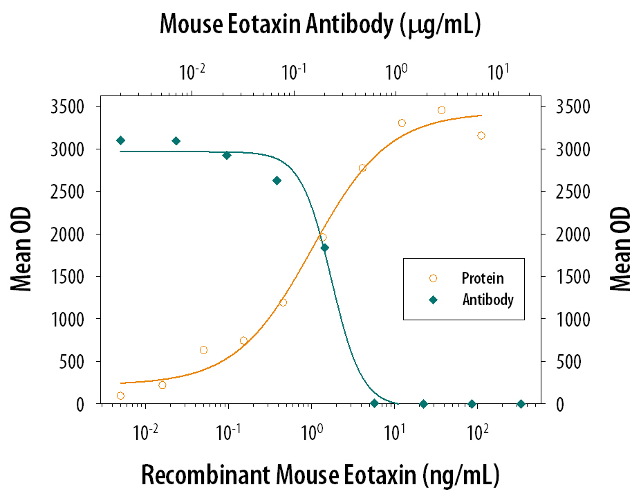 Recombinant Mouse CCL11/ Eotaxin (Catalog # 420-ME) chemoattracts the BaF3 mouse pro-B cell line transfected with mouse CCR3 in a dose-dependent manner (orange line). The amount of cells that migrated through to the lower chemotaxis chamber was measured by Resazurin (Catalog # AR002). Chemotaxis elicited by Recombinant Mouse CCL11/ Eotaxin (10 ng/mL) is neutralized (green line) by increasing concentrations of Goat Anti-Mouse CCL11/Eotaxin Antigen Affinity-purified Polyclonal Antibody (Catalog # AF-420-NA). The ND50 is typically 0.1-0.5 µg/mL.