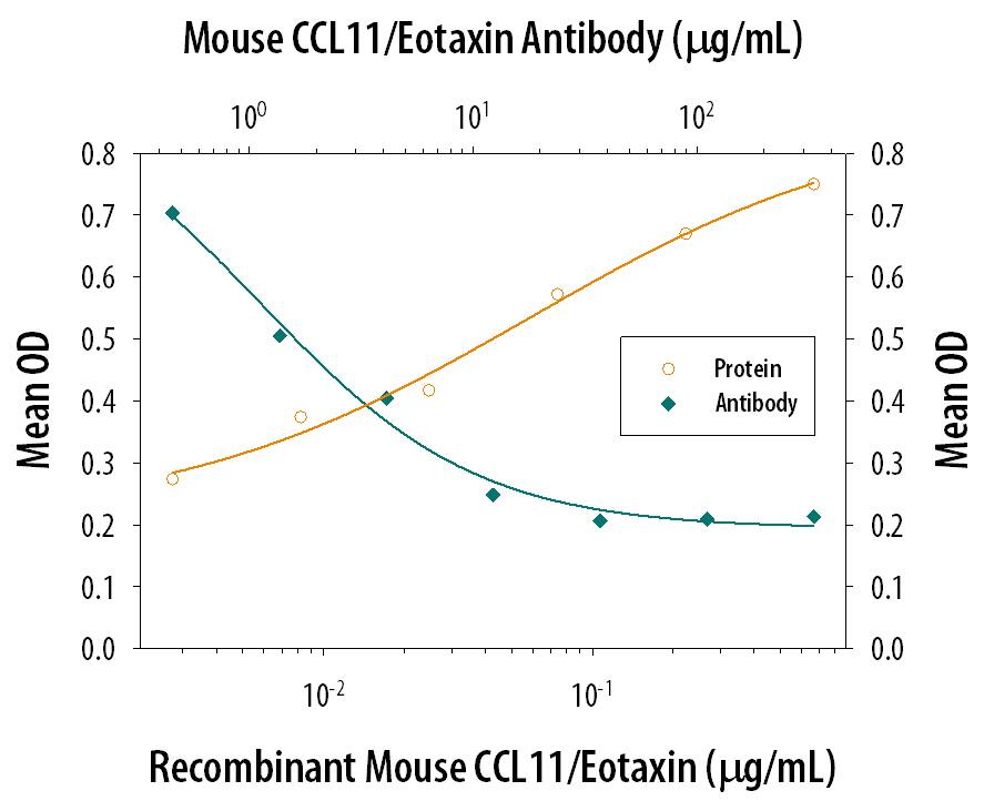 Recombinant Mouse CCL11/ Eotaxin (Catalog # 420-ME) chemoattracts the Y3 rat myeloid cell line transfected with human CCR3 in a dose-dependent manner (orange line). The amount of cells that migrated through to the lower chemotaxis chamber was measured by MTT staining. Chemotaxis elicited by Recombinant Mouse CCL11/ Eotaxin (0.1 µg/mL) is neutralized (green line) by increasing concentrations of Rat Anti-Mouse CCL11/Eotaxin Monoclonal Antibody (Catalog # MAB420). The ND50 is typically 3-30 µg/mL.