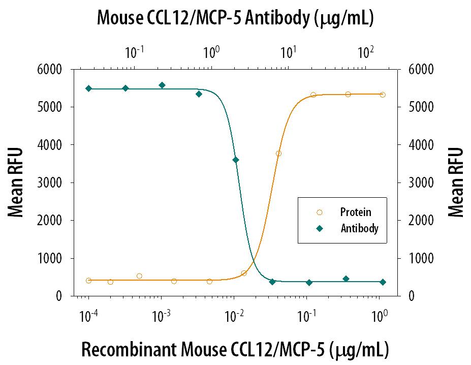 Recombinant Mouse CCL12/MCP‑5 (Catalog # 428-P5) chemoattracts the BaF3 mouse pro‑B cell line transfected with human CCR2A in a dose-dependent manner (orange line). The amount of cells that migrated through to the lower chemotaxis chamber was measured by Resazurin (Catalog # AR002). Chemotaxis elicited by Recombinant Mouse CCL12/MCP‑5 (0.2 µg/mL) is neutralized (green line) by increasing concentrations of Mouse CCL12/MCP‑5 Antigen Affinity-purified Polyclonal Antibody (Catalog # AF428). The ND50 is typically 0.8-4.0 µg/mL.