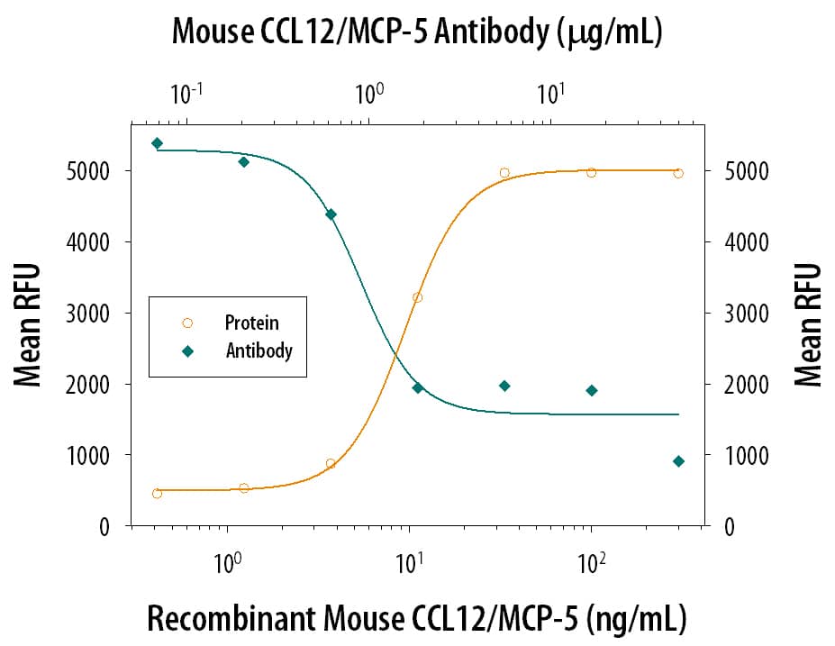 Recombinant Mouse CCL12/MCP-5 (Catalog # 428-P5) chemoattracts the BaF3 mouse pro-B cell line transfected with human CCR2A in a dose-dependent manner (orange line). The amount of cells that migrated through to the lower chemotaxis chamber was measured by Resazurin (Catalog # AR002). Chemotaxis elicited by Recombinant Mouse CCL12/ MCP-5 (10 ng/mL) is neutralized (green line) by increasing concentrations of Rat Anti-Mouse CCL12/MCP-5 Monoclonal Antibody (Catalog # MAB428). The ND50 is typically 0.5-2.5 µg/mL. Maximum neutralization observed was around 80%.