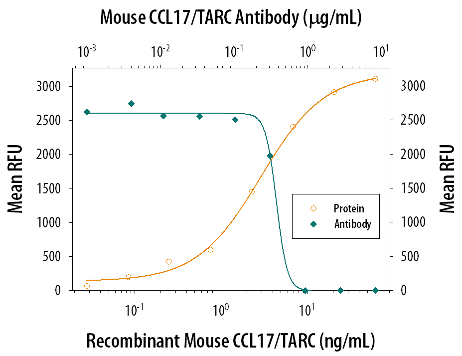 Recombinant Mouse CCL17/ TARC (Catalog # 529-TR) chemoattracts the BaF3 mouse pro-B cell line transfected with human CCR4 in a dose-dependent manner (orange line). The amount of cells that migrated through to the lower chemotaxis chamber was measured by Resazurin (Catalog # AR002). Chemotaxis elicited by Recombinant Mouse CCL17/TARC (0.02 µg/mL) is neutralized (green line) by increasing concentrations of Goat Anti-Mouse CCL17/TARC Antigen Affinity-purified Polyclonal Antibody (Catalog # AF529). The ND50 is typically 0.2-0.6 µg/mL.
