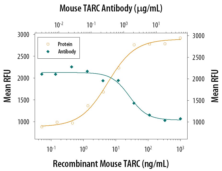 Recombinant Mouse CCL17/TARC (Catalog # 529-TR) chemoattracts the BaF3 mouse pro‑B cell line transfected with human CCR4 in a dose-dependent manner (orange line). The amount of cells that migrated through to the lower chemotaxis chamber was measured by Resazurin (Catalog # AR002). Chemotaxis elicited by Recombinant Mouse CCL17/TARC (20 ng/mL) is neutralized (green line) by increasing concentrations of Mouse CCL17/TARC Monoclonal Antibody (Catalog # MAB529). The ND50 is typically 0.75-3.0 µg/mL.