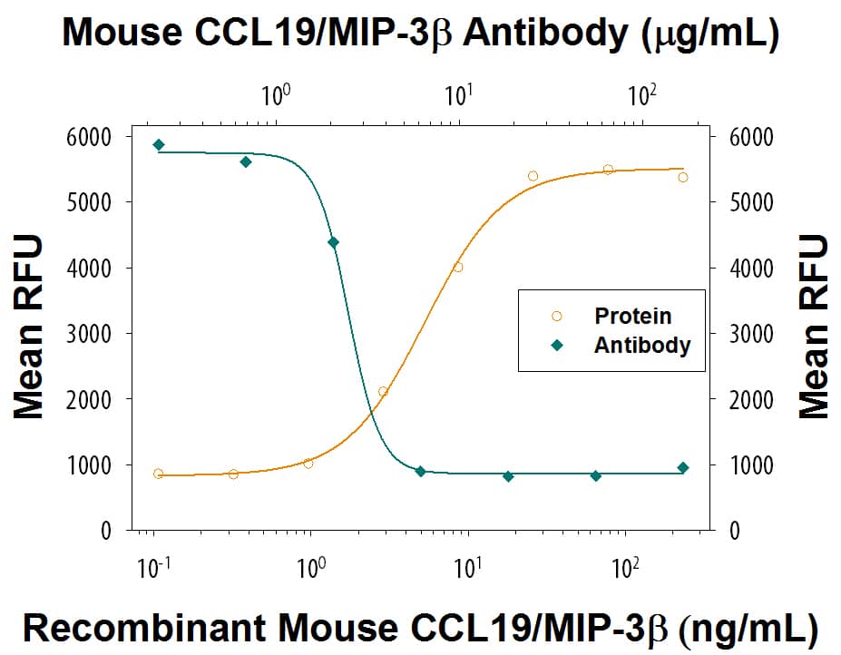 Recombinant Mouse CCL19/MIP-3 beta  (Catalog # 440-M3) chemoattracts the BaF3 mouse pro-B cell line transfected with human CCR7 in a dose-dependent manner (orange line). The amount of cells that migrated through to the lower chemotaxis chamber was measured by Resazurin (Catalog # AR002). Chemotaxis elicited by Recombinant Mouse CCL19/MIP-3 beta  (50 ng/mL) is neutralized (green line) by increasing concentrations of Goat Anti-Mouse CCL19/MIP-3 beta  Antigen Affinity-purified Polyclonal Antibody (Catalog # AF880). The ND50 is typically 0.8-4 µg/mL.