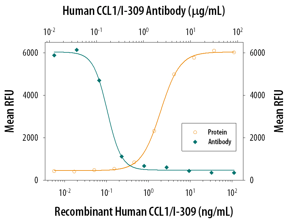 Recombinant Human CCL1/I-309 (Catalog # 272-I) chemoattracts the BaF3 mouse pro-B cell line transfected with human CCR8 in a dose-dependent manner (orange line). The amount of cells that migrated through to the lower chemotaxis chamber was measured by Resazurin (Catalog # AR002). Chemotaxis elicited by Recombinant Human CCL1/I-309 (0.02 µg/mL) is neutralized (green line) by increasing concentrations of Mouse Anti-Human CCL1/I-309 Monoclonal Antibody (Catalog # MAB272). The ND50 is typically 0.1-0.5 µg/mL.
