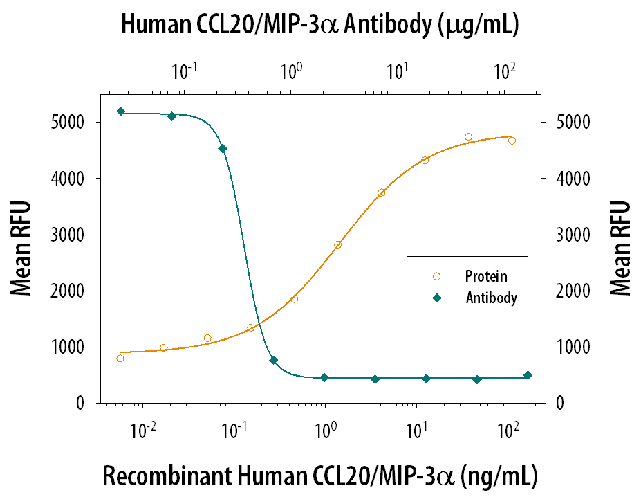 Recombinant Human CCL20/MIP‑3a (360-MP) chemoattracts the BaF3 mouse pro‑B cell line transfected with human CCR6 in a dose-dependent manner (orange line). The amount of cells that migrated through to the lower chemotaxis chamber was measured by Resazurin (AR002). Chemotaxis elicited by Recombinant Human CCL20/MIP‑3a (10 ng/mL) is neutralized (green line) by increasing concentrations of Goat Anti-Human CCL20/MIP‑3a Antigen Affinity-purified Polyclonal Antibody (Catalog # AF360). The ND50 is typically 0.2-1.0 µg/mL.