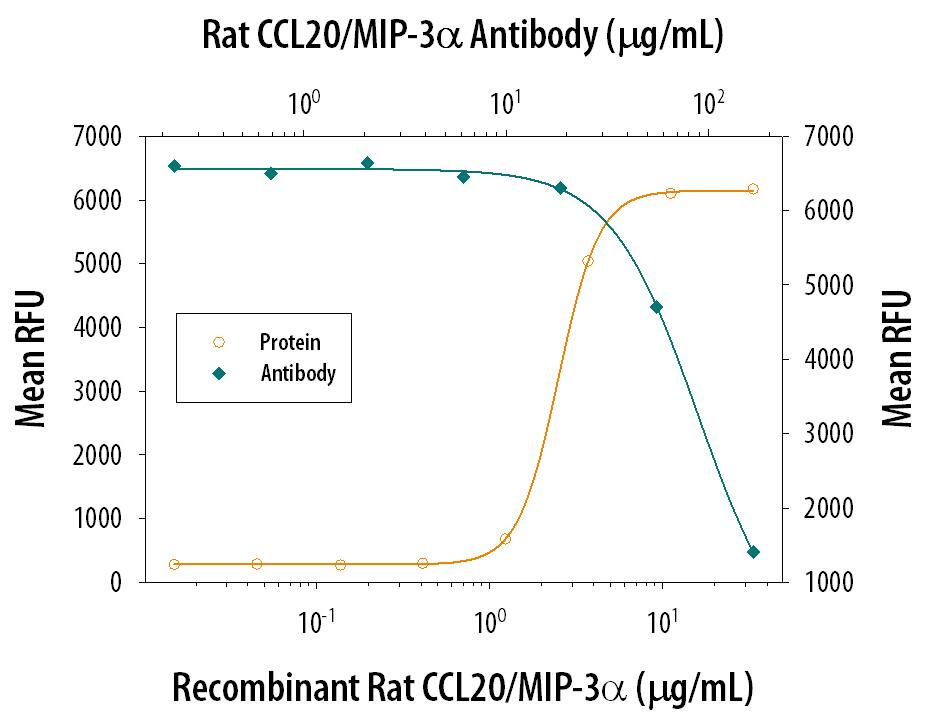 Recombinant Rat CCL20/MIP‑3a (Catalog # 540-RM) chemoattracts the BaF3 mouse pro‑B cell line transfected with human CCR6 in a dose-dependent manner (orange line). The amount of cells that migrated through to the lower chemotaxis chamber was measured by Resazurin (Catalog # AR002). Chemotaxis elicited by Recombinant Rat CCL20/MIP‑3a (5 µg/mL) is neutralized (green line) by increasing concentrations of Rat CCL20/MIP‑3a Antigen Affinity-purified Polyclonal Antibody (Catalog # AF540). The ND50 is typically 30-75 µg/mL.