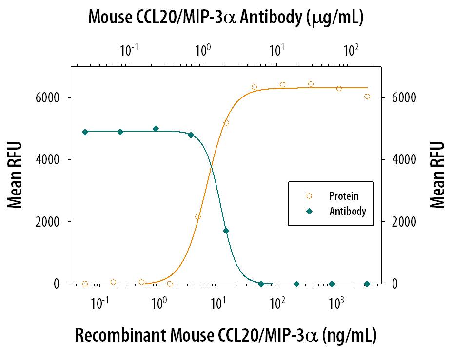 Recombinant Mouse CCL20/MIP-3a (760-M3) chemoattracts the BaF3 mouse pro-B cell line transfected with human CCR6 in a dose-dependent manner (orange line). The amount of cells that migrated through to the lower chemotaxis chamber was measured by Resazurin (AR002). Chemotaxis elicited by Recombinant Mouse CCL20/MIP-3a (40 ng/mL) is neutralized (green line) by increasing concentrations of Goat Anti-Mouse CCL20/MIP-3a Antigen Affinity-purified Polyclonal Antibody (Catalog # AF760). The ND50 is typically 0.5-2.0 µg/mL.