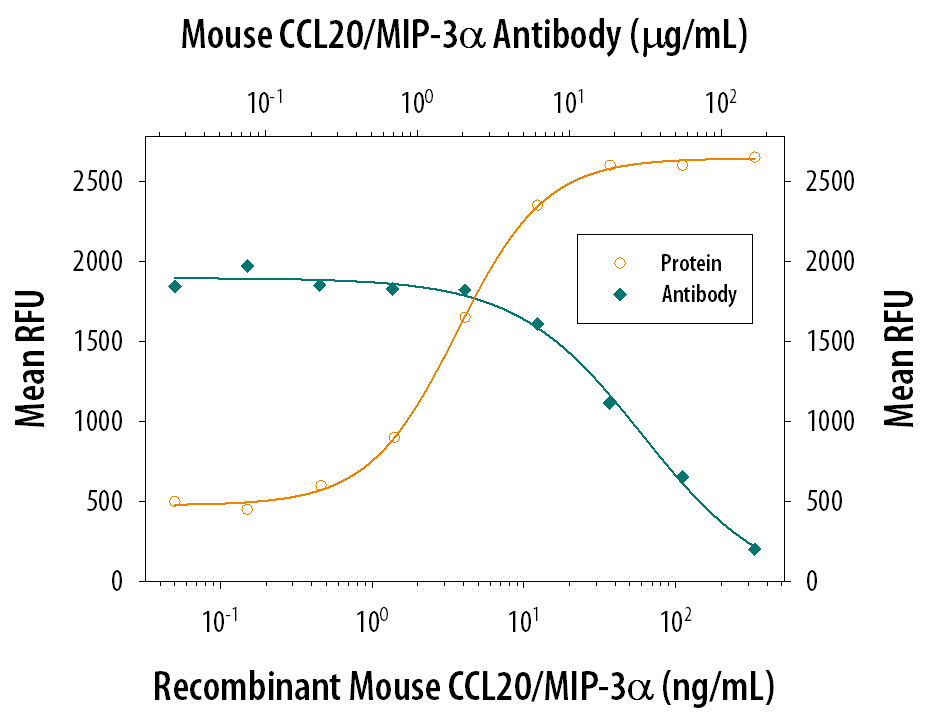 Recombinant Mouse CCL20/MIP-3a (Catalog # 760-M3) chemoattracts the BaF3 mouse pro-B cell line transfected with human CCR6 in a dose-dependent manner (orange line). The amount of cells that migrated through to the lower chemotaxis chamber was measured by Resazurin (Catalog # AR002). Chemotaxis elicited by Recombinant Mouse CCL20/MIP-3a (20 ng/mL) is neutralized (green line) by increasing concentrations of Rat Anti-Mouse CCL20/MIP-3a Monoclonal Antibody (Catalog # MAB7601). The ND50 is typically 3-15 µg/mL.
