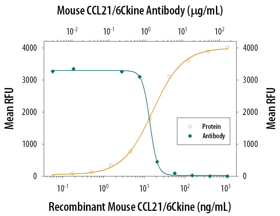 Neutralization CCL21/6Ckine Antibody [Unconjugated]