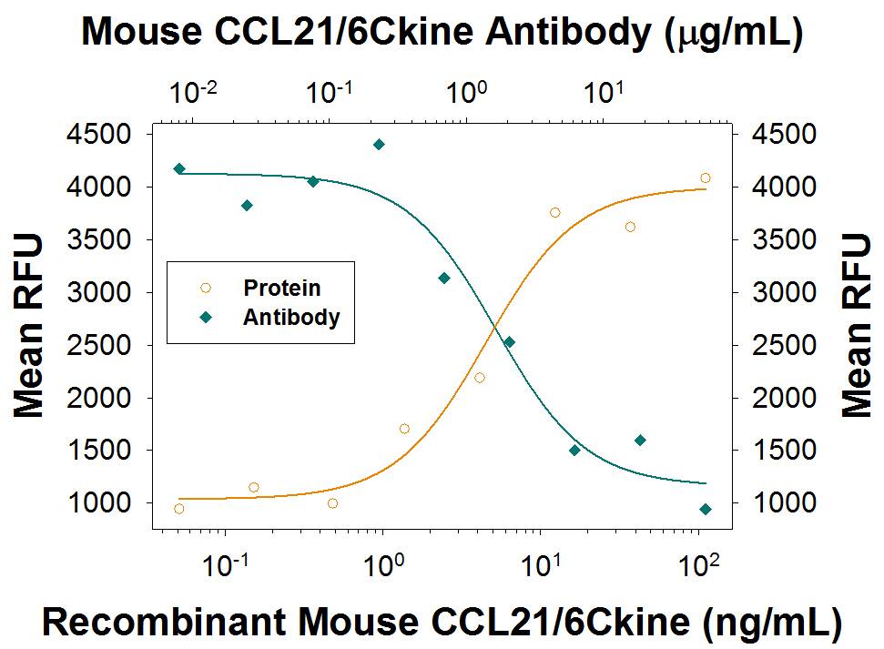 Recombinant Mouse CCL21/6Ckine (Catalog # 457-6C) chemoattracts the BaF3 mouse pro-B cell line transfected with human CCR7 in a dose-dependent manner (orange line). The amount of cells that migrated through to the lower chemotaxis chamber was measured by Resazurin (Catalog # AR002). Chemotaxis elicited by Recombinant Mouse CCL21/6Ckine (50 ng/mL) is neutralized (green line) by increasing concentrations of Rat Anti-Mouse CCL21/6Ckine Monoclonal Antibody (Catalog # MAB4572). The ND50 is typically 0.5-3 µg/mL.