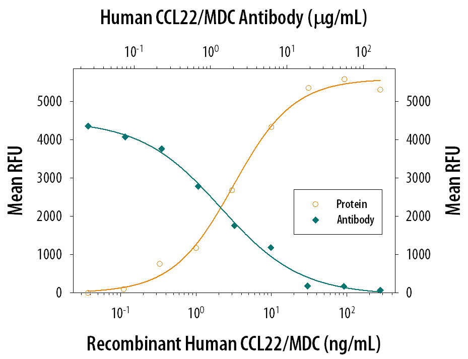 Neutralization CCL22/MDC Antibody (57226) [Unconjugated]