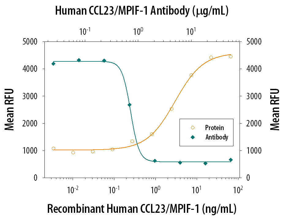 Recombinant Human CCL23/ MPIF-1 (Catalog # 131-M1) chemoattracts the BaF3 mouse pro-B cell line transfected with human CCR1 in a dose-dependent manner (orange line). The amount of cells that migrated through to the lower chemotaxis chamber was measured by Resazurin (Catalog # AR002). Chemotaxis elicited by Recombinant Human CCL23/ MPIF-1 (20 ng/mL) is neutralized (green line) by increasing concentrations of Goat Anti-Human CCL23/MPIF-1 Antigen Affinity-purified Polyclonal Antibody (Catalog # AF371). The ND50 is typically 0.5-2.5 µg/mL.