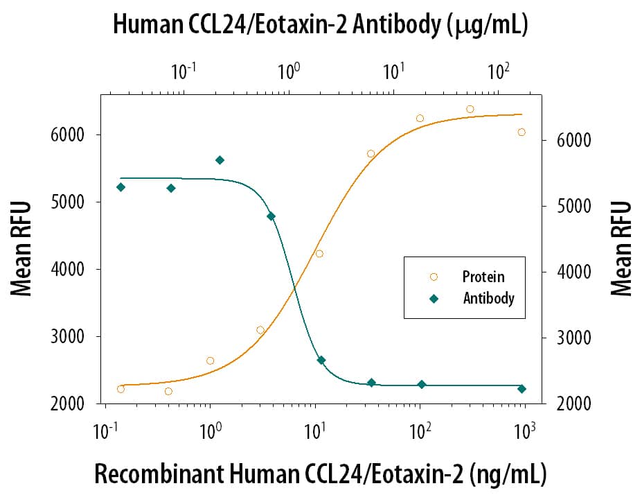 Recombinant Human CCL24/Eotaxin-2 (Catalog # 343-E2) chemoattracts the BaF3 mouse pro-B cell line transfected with mouse CCR3 in a dose-dependent manner (orange line). The amount of cells that migrated through to the lower chemotaxis chamber was measured by Resazurin (Catalog # AR002). Chemotaxis elicited by Recombinant Human CCL24/Eotaxin-2 (0.1 µg/mL) is neutralized (green line) by increasing concentrations of Goat Anti-Human CCL24/Eotaxin-2 Antigen Affinity-purified Polyclonal Antibody (Catalog # AF343). The ND50 is typically 0.5-2.5 µg/mL.