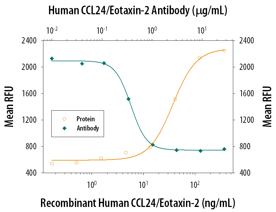 Recombinant Human CCL24/ Eotaxin-2 (Catalog # 343-E2) chemoattracts the BaF3 mouse pro-B cell line transfected with mouse CCR3 in a dose-dependent manner (orange line). The amount of cells that migrated through to the lower chemotaxis chamber was measured by Resazurin (Catalog # AR002). Chemotaxis elicited by Recombinant Human CCL24/ Eotaxin-2 (100 ng/mL) is neutralized (green line) by increasing concentrations of Mouse Anti-Human CCL24/ Eotaxin-2 Monoclonal Antibody (Catalog # MAB343). The ND50 is typically 0.2-0.8 µg/mL.