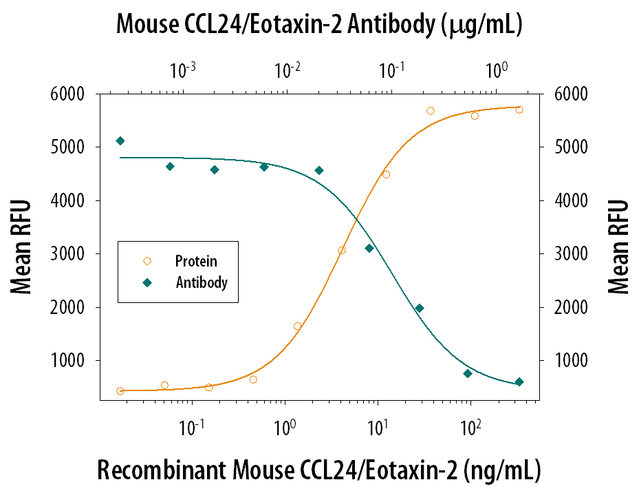 Recombinant Mouse CCL24/ Eotaxin-2 (Catalog # 1017-MP) chemoattracts the BaF3 mouse pro-B cell line transfected with mouse CCR3 in a dose-dependent manner (orange line). The amount of cells that migrated through to the lower chemotaxis chamber was measured by Resazurin (Catalog # AR002). Chemotaxis elicited by Recombinant Mouse CCL24/Eotaxin-2 (20 ng/mL) is neutralized (green line) by increasing concentrations of Rat Anti-Mouse CCL24/Eotaxin-2 Monoclonal Antibody (Catalog # MAB528). The ND50 is typically 0.06-0.3 µg/mL.