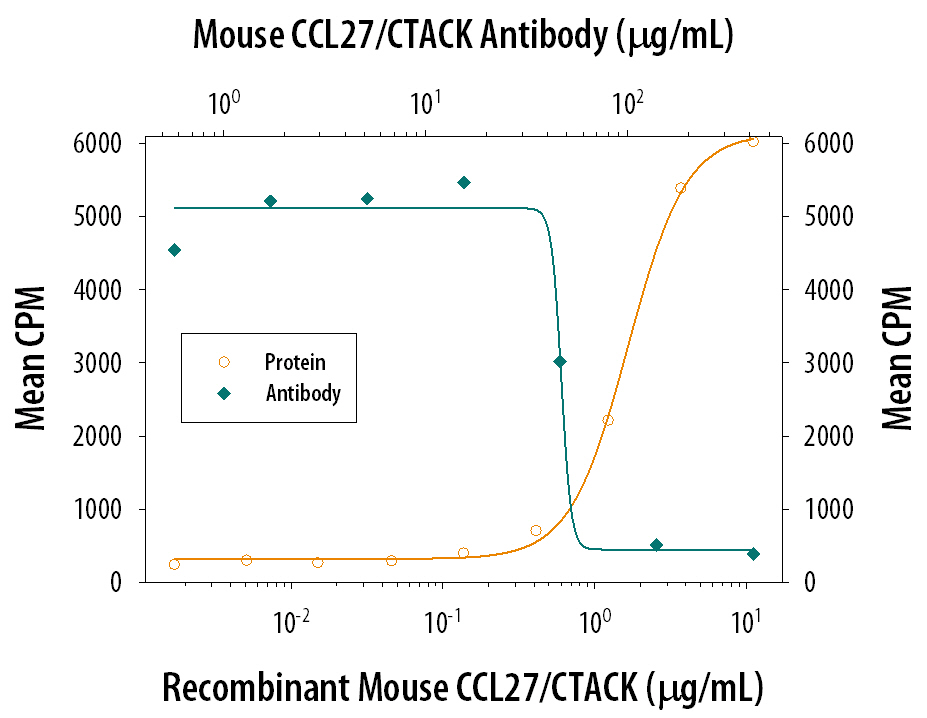 Recombinant Mouse CCL27/CTACK (Catalog # 725-CK) chemo-attracts the BaF3 mouse pro-B cell line transfected with mouse CCR10 in a dose-dependent manner (orange line). The amount of cells that migrated through to the lower chemotaxis chamber was measured by Alamar blue staining. Chemotaxis elicited by Recombinant Mouse CCL27/CTACK (1 µg/mL) is neutralized (green line) by increasing concentrations of Goat Anti-Mouse CCL27/CTACK Antigen Affinity-purified Polyclonal Antibody (Catalog # AF725). The ND50 is typically 10-20 µg/mL.