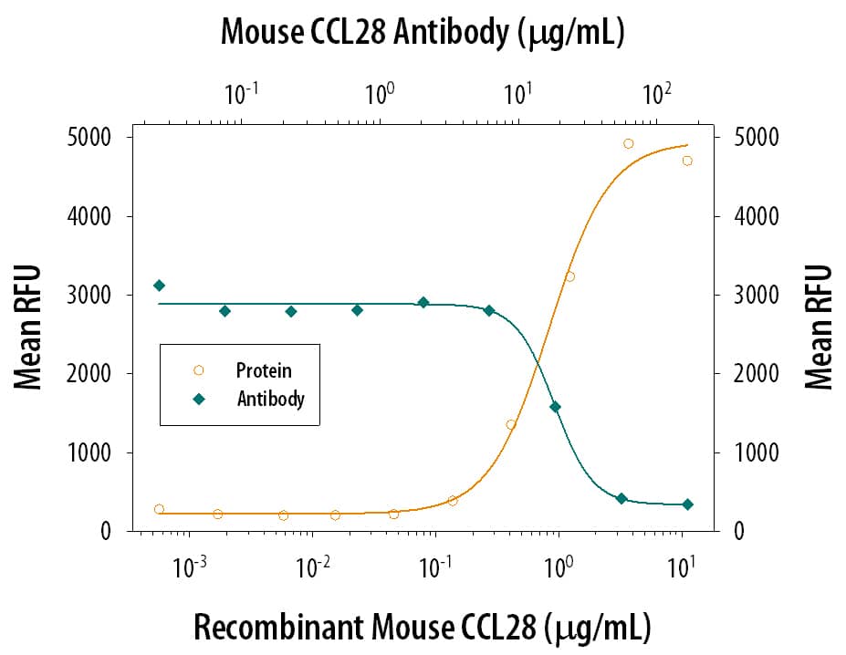 Recombinant Mouse CCL28 (Catalog # 533-VI) chemoattracts the BaF3 mouse pro-B cell line transfected with mouse CCR10 in a dose-dependent manner (orange line). The amount of cells that migrated through to the lower chemotaxis chamber was measured by Resazurin (Catalog # AR002). Chemotaxis elicited by Recombinant Mouse CCL28 (2 µg/mL) is neutralized (green line) by increasing concentrations of Goat Anti-Mouse CCL28 Antigen Affinity-purified Polyclonal Antibody (Catalog # AF533). The ND50 is typically 5-25 µg/mL.