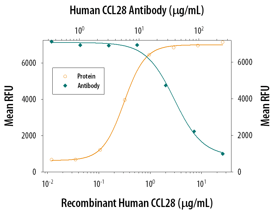 Recombinant Human CCL28 (717-VC) chemoattracts the BaF3 mouse pro-B cell line transfected with mouse CCR10 in a dose-dependent manner (orange line). Chemotaxis elicited by Recombinant Human CCL28 is neutralized (green line) by increasing concentrations of Goat Anti-Human CCL28 Antigen Affinity-purified Polyclonal Antibody (Catalog # AF717). Typically, 100 µg/mL will cause >50% neutralization in the presence of 2 µg/mL Recombinant Human CCL28.