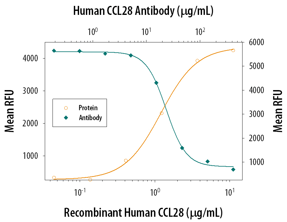 Recombinant Human CCL28 (Catalog # 717-VC) chemo-attracts the BaF3 mouse pro-B cell line transfected with human CCR10 in a dose-dependent manner (orange line). The amount of cells that migrated through to the lower chemotaxis chamber was measured by Resazurin. Chemotaxis elicited by Recombinant Human CCL28 (4 µg/mL) is neutralized (green line) by increasing concentrations of Mouse Anti-Human CCL28 Monoclonal Antibody (Catalog # MAB717). The ND50 is typically 15-45 µg/mL.