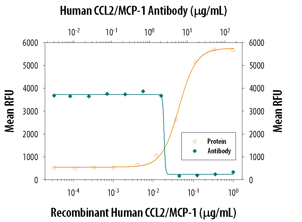 Recombinant Human CCL2/ MCP-1 (Catalog # 279-MC) chemoattracts the BaF3 mouse pro-B cell line transfected with human CCR2A in a dose-dependent manner (orange line). The amount of cells that migrated through to the lower chemotaxis chamber was measured by Resazurin (Catalog # AR002). Chemotaxis elicited by Recombinant Human CCL2/MCP-1 (150 ng/mL) is neutralized (green line) by increasing concentrations of Goat Anti-Human CCL2/MCP-1 Antigen Affinity-purified Polyclonal Antibody (Catalog # AF-279-NA). The ND50 is typically 1.5-4.5 µg/mL.