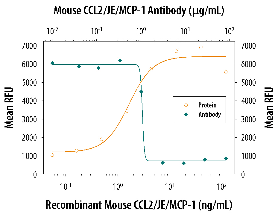 Recombinant Mouse CCL2/JE (Catalog # 479-JE) chemoattracts the BaF3 mouse pro-B cell line transfected with human CCR2A in a dose-dependent manner (orange line). The amount of cells that migrated through to the lower chemotaxis chamber was measured by Resazurin (Catalog # AR002). Chemotaxis elicited by Recombinant Mouse CCL2/JE (0.04 µg/mL) is neutralized (green line) by increasing concentrations of Goat Anti-Mouse CCL2/JE Antigen Affinity-purified Polyclonal Antibody (Catalog # AF-479-NA). The ND50 is typically 0.5-2.5 µg/mL.