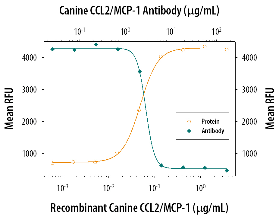 Recombinant Canine CCL2/JE/ MCP-1 (Catalog # 1774-MC) chemoattracts the BaF3 mouse pro-B cell line transfected with human CCR2A in a dose-dependent manner (orange line). The amount of cells that migrated through to the lower chemotaxis chamber was measured by Resazurin (Catalog # AR002). Chemotaxis elicited by Recombinant Canine CCL2/JE/ MCP-1 (300 ng/mL) is neutralized (green line) by increasing concentrations of Goat Anti-Canine CCL2/JE/ MCP-1 Antigen Affinity-purified Polyclonal Antibody (Catalog # AF1774). The ND50 is typically 0.8-4.0 µg/mL.