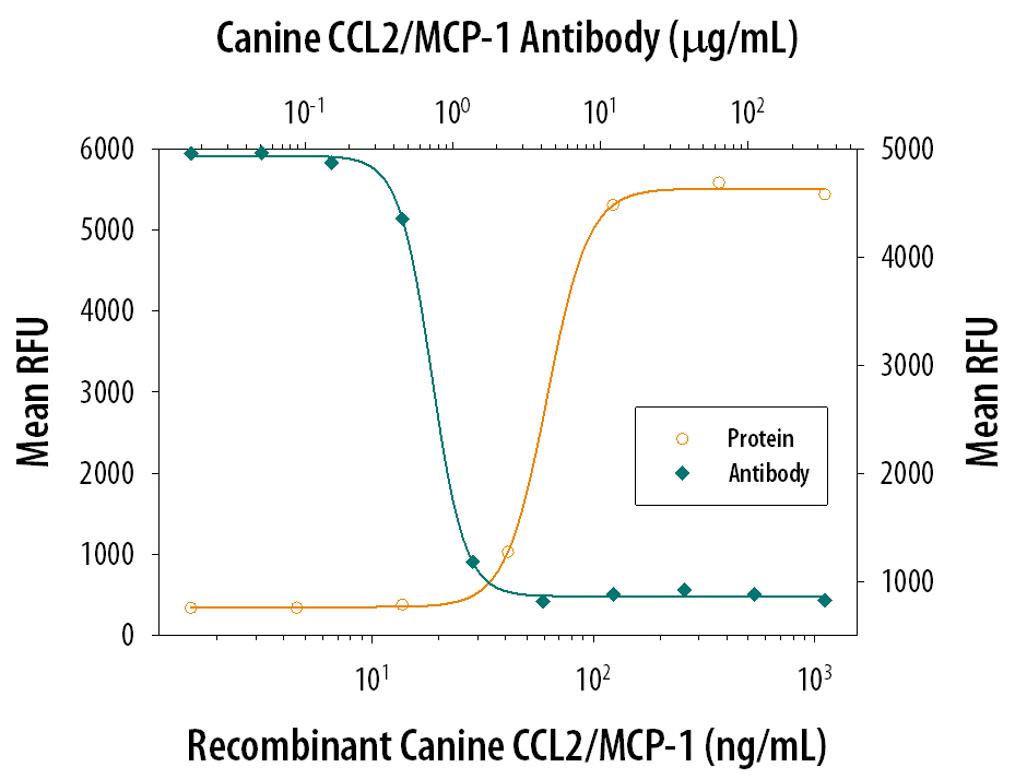 Recombinant Canine CCL2/JE/MCP-1 (Catalog # 1774-MC) chemoattracts the BaF3 mouse pro-B cell line transfected with human CCR2A in a dose-dependent manner (orange line). The amount of cells that migrated through to the lower chemotaxis chamber was measured by Resazurin (Catalog # AR002). Chemotaxis elicited by Recombinant Canine CCL2/JE/MCP-1 (300 ng/mL) is neutralized (green line) by increasing concentrations of Mouse Anti-Canine CCL2/JE/MCP-1 Monoclonal Antibody (Catalog # MAB28171). The ND50 is typically 0.5-2.0 µg/mL.