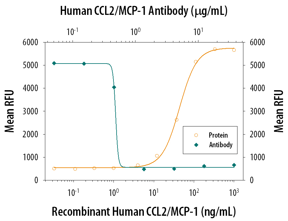 Recombinant Human CCL2/MCP-1 (279-MC) chemoattracts the BaF3 mouse pro-B cell line transfected with human CCR2A in a dose-dependent manner (orange line). The amount of cells that migrated through to the lower chemotaxis chamber was measured by Resazurin (AR002). Chemotaxis elicited by Recombinant Human CCL2/MCP-1 (75 ng/mL) is neutralized (green line) by increasing concentrations of Human CCL2/MCP-1 Monoclonal Antibody (Catalog # MAB679). The ND50 is typically 0.5-2.0 µg/mL.