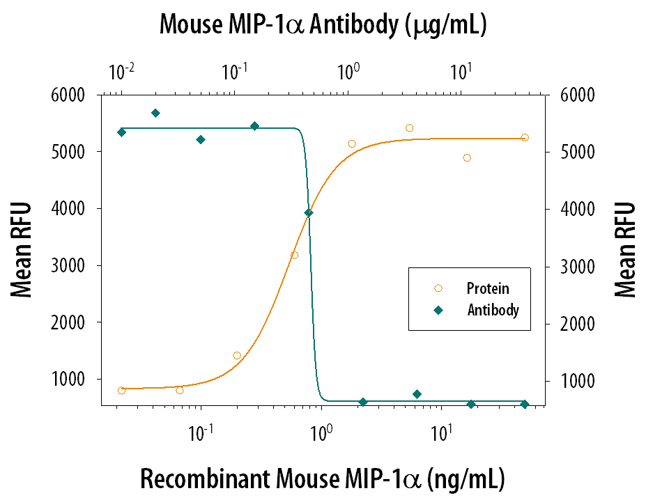 Recombinant Mouse CCL3/MIP-1a (Catalog # 450-MA) chemoattracts BaF3 mouse pro-B cell line transfected with human CCR5 in a dose-dependent manner (orange line). The amount of cells that migrated through to the lower chemotaxis chamber was measured by Resazurin (Catalog # AR002). Chemotaxis elicited by Recombinant Mouse CCL3/MIP-1a (10 ng/mL) is neutralized (green line) by increasing concentrations of Goat Anti-Mouse CCL3/MIP-1a Polyclonal Antibody (Catalog # AB-450-NA). The ND50 is typically 0.3-1 µg/mL.