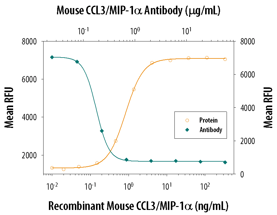 Recombinant Mouse CCL3/MIP-1a (Catalog # 450-MA) chemoattracts the BaF3 mouse pro-B cell line transfected with human CCR5 in a dose-dependent manner (orange line). The amount of cells that migrated through to the lower chemotaxis chamber was measured by Resazurin (Catalog # AR002). Chemotaxis elicited by Recombinant Mouse CCL3/ MIP-1a (10 ng/mL) is neutralized (green line) by increasing concentrations of Goat Anti-Mouse CCL3/MIP-1a Antigen Affinity-purified Polyclonal Antibody (Catalog # AF-450-NA). The ND50 is typically 0.05-0.2 µg/mL.
