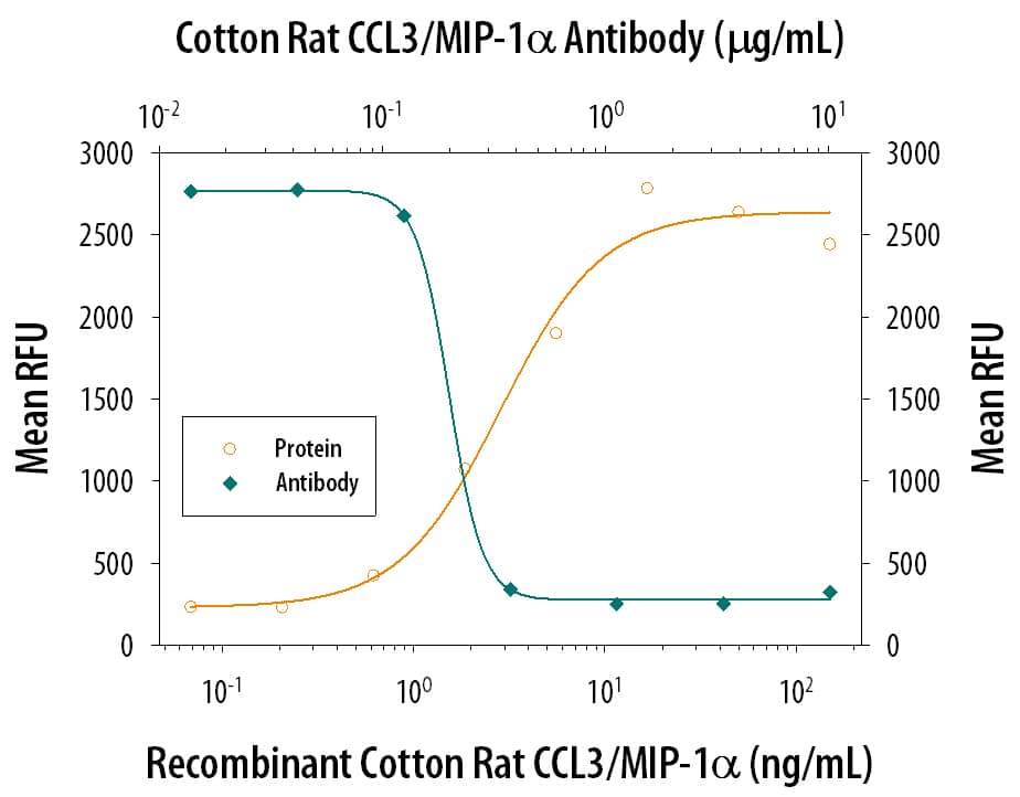 Recombinant Cotton Rat CCL3/MIP-1a (Catalog # 1061-RM) chemoattracts the BaF3 mouse pro-B cell line transfected with human CCR5 in a dose-dependent manner (orange line). The amount of cells that migrated through to the lower chemotaxis chamber was measured by Resazurin (Catalog # AR002). Chemotaxis elicited by Recombinant Cotton Rat CCL3/MIP-1a (10 ng/mL) is neutralized (green line) by increasing concentrations of Goat Anti-Cotton Rat CCL3/MIP-1a Antigen Affinity-purified Polyclonal Antibody (Catalog # AF1061). The ND50 is typically 0.1-0.4 µg/mL.