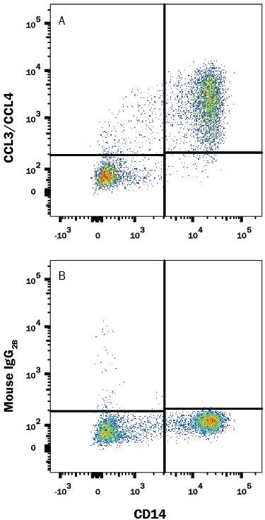 Human peripheral blood monocytes treated with LPS were stained with Mouse Anti-Human CD14 APC-conjugated Monoclonal Antibody (Catalog # FAB3832A) and either (A) Mouse Anti-Human CCL3/CCL4 Fluorescein-conjugated Monoclonal Antibody (Catalog # IC2701F) or (B) Mouse IgG2BFluorescein Isotype Control (Catalog # IC0041F). To facilitate intracellular staining, cells were fixed with Flow Cytometry Fixation Buffer (Catalog # FC004) and permeabilized with Flow Cytometry Permeabilization/Wash Buffer I (Catalog # FC005). View our protocol for Staining Intracellular Molecules.
