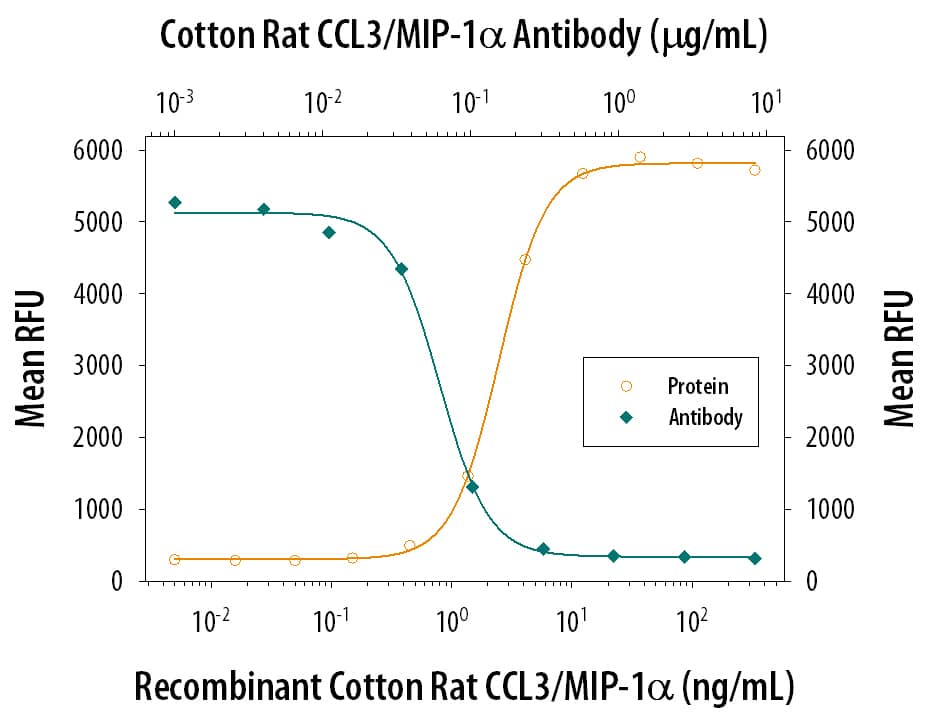 Recombinant Cotton Rat CCL3/MIP-1a (Catalog # 1061-RM) chemoattracts the BaF3 mouse pro-B cell line transfected with human CCR5 in a dose-dependent manner (orange line). The amount of cells that migrated through to the lower chemotaxis chamber was measured by Resazurin (Catalog # AR002). Chemotaxis elicited by Recombinant Cotton Rat CCL3/MIP-1a (10 ng/mL) is neutralized (green line) by increasing concentrations of Cotton Rat CCL3/MIP-1a Monoclonal Antibody (Catalog # MAB1061). The ND50 is typically 0.05-0.3 µg/mL.