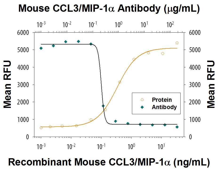 Recombinant Mouse CCL3/MIP-1a (Catalog # 450-MA) chemoattracts the BaF3 mouse pro-B cell line transfected with human CCR5 in a dose-dependent manner (orange line). The amount of cells that migrated through to the lower chemotaxis chamber was measured by Resazurin (Catalog # AR002). Chemotaxis elicited by Recombinant Mouse CCL3/MIP-1a (10 ng/mL) is neutralized (green line) by increasing concentrations of Rabbit Anti-Mouse CCL3/MIP-1a Monoclonal Antibody (Catalog # MAB4503). The ND50 is typically 0.02-0.2 µg/mL.