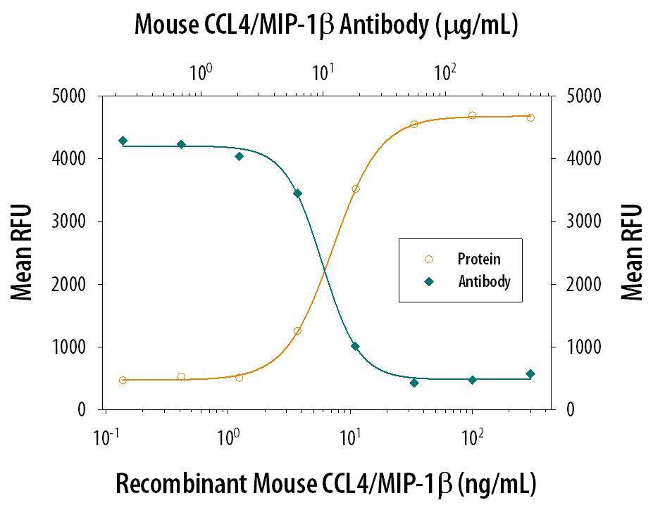 Recombinant Mouse CCL4/MIP-1 beta  (Catalog # 451-MB) chemoattracts the BaF3 mouse pro-B cell line transfected with human CCR5 in a dose-dependent manner (orange line). The amount of cells that migrated through to the lower chemotaxis chamber was measured by Resazurin (Catalog # AR002). Chemotaxis elicited by Recombinant Mouse CCL4/MIP-1 beta  (25 ng/mL) is neutralized (green line) by increasing concentrations of Mouse CCL4/MIP-1 beta  Polyclonal Antibody (Catalog # AB-451-NA). The ND50 is typically 4-12 µg/mL.
