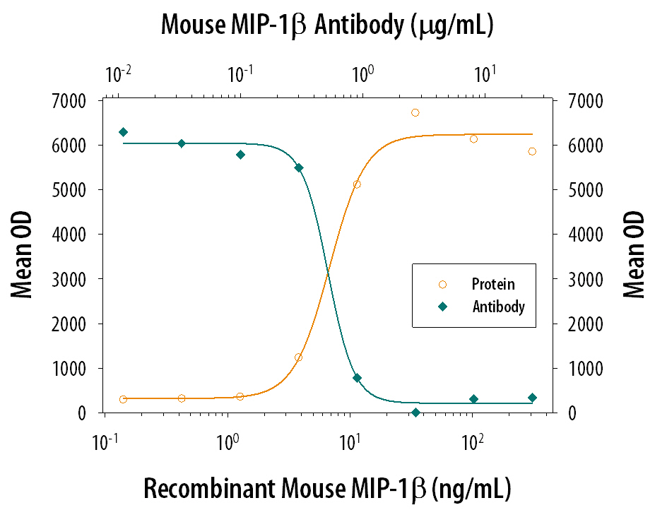 Neutralization CCL4/MIP-1 beta Antibody [Unconjugated]